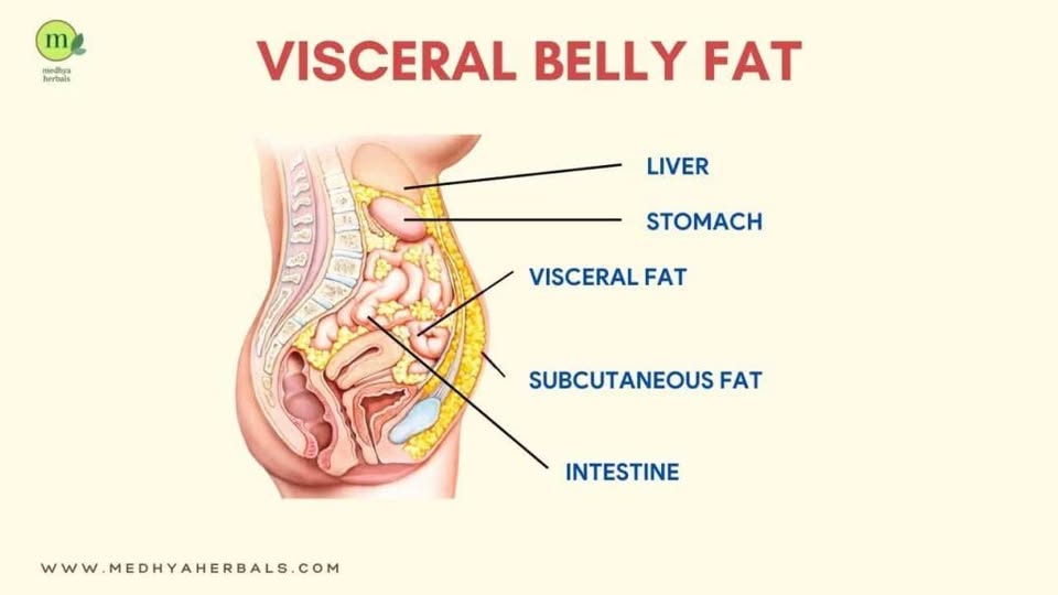 Man measuring waist circumference to monitor visceral fat, belly fat, metabolic health, and healthy aging.