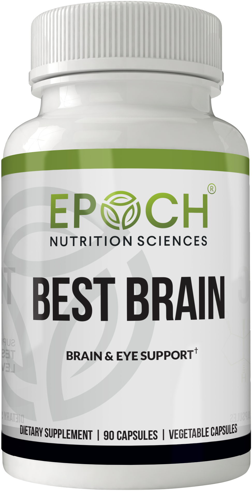 The Best Brain Creation Story 