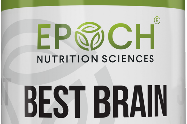 The Best Brain Creation Story 