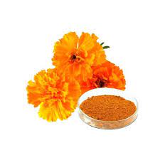 A Super Nutrient You Should Be Consuming