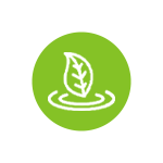 Green Leaf Icon |Epoch Nutrition Sciences | United States